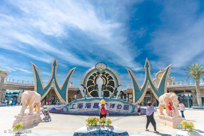 In the late summer of 38 degrees, the cool harvest in Haichang Ocean Park, Shanghai