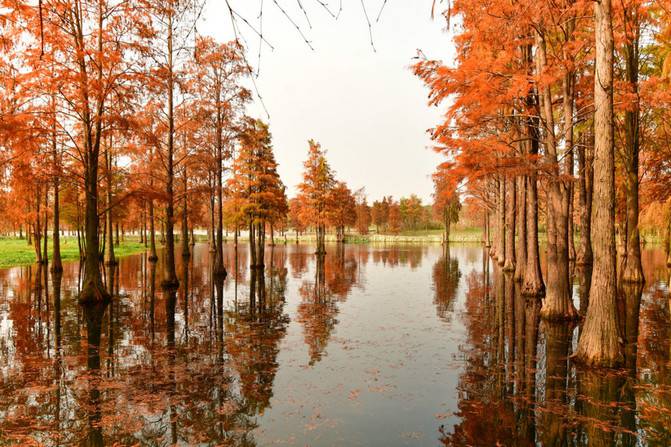 Qingxi country park, a good place for autumn outing